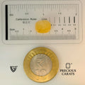 ITLGR_98884_SCALE.webp