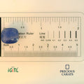 IGITL_194691_SCALE.webp