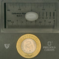 ITLGR_102082_SCALE.webp
