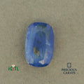 IGITL_200325_TOP.webp