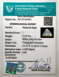 ITLGR_101901_CERTIFICATE.webp