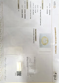 IGJ_12879D52993_CERTIFICATE.webp