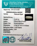 ITLGR_101885_CERTIFICATE.webp