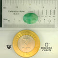 ITLGR_105064_SCALE.webp