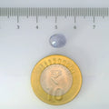 IGITL_200244_SCALE.webp