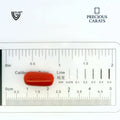 ITLGR_99880_SCALE.webp