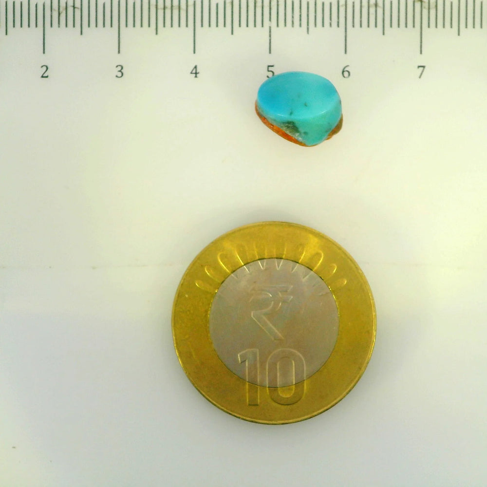 ITLGR_107211_SCALE.webp
