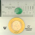 ITLGR_102104_SCALE.webp