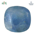 IGITL_194681_TOP.webp