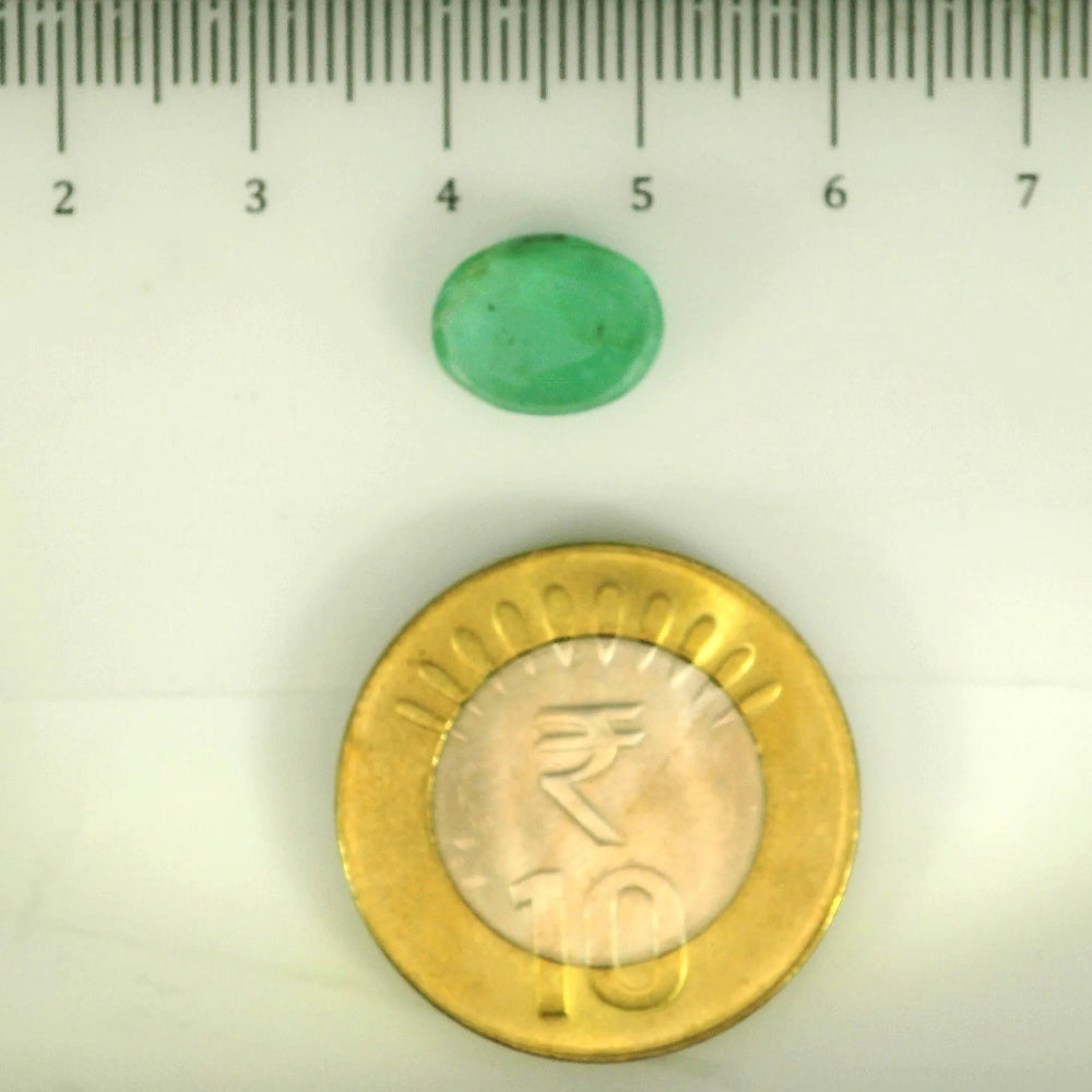 ITLGR_106866_SCALE.webp