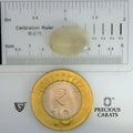 ITLGR_101910_SCALE.webp