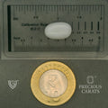 ITLGR_102077_SCALE.webp