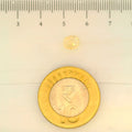 ITLGR_104954_SCALE.webp