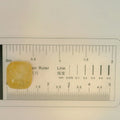 ITLGR_98867_SCALE.webp