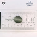 ITLGR_100598_SCALE.webp