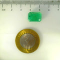 IGITL_205638_SCALE.webp