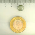 ITLGR_109770_SCALE.webp