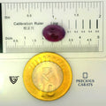 ITLGR_100298_SCALE.webp
