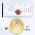 ITLGR_102666_SCALE.webp