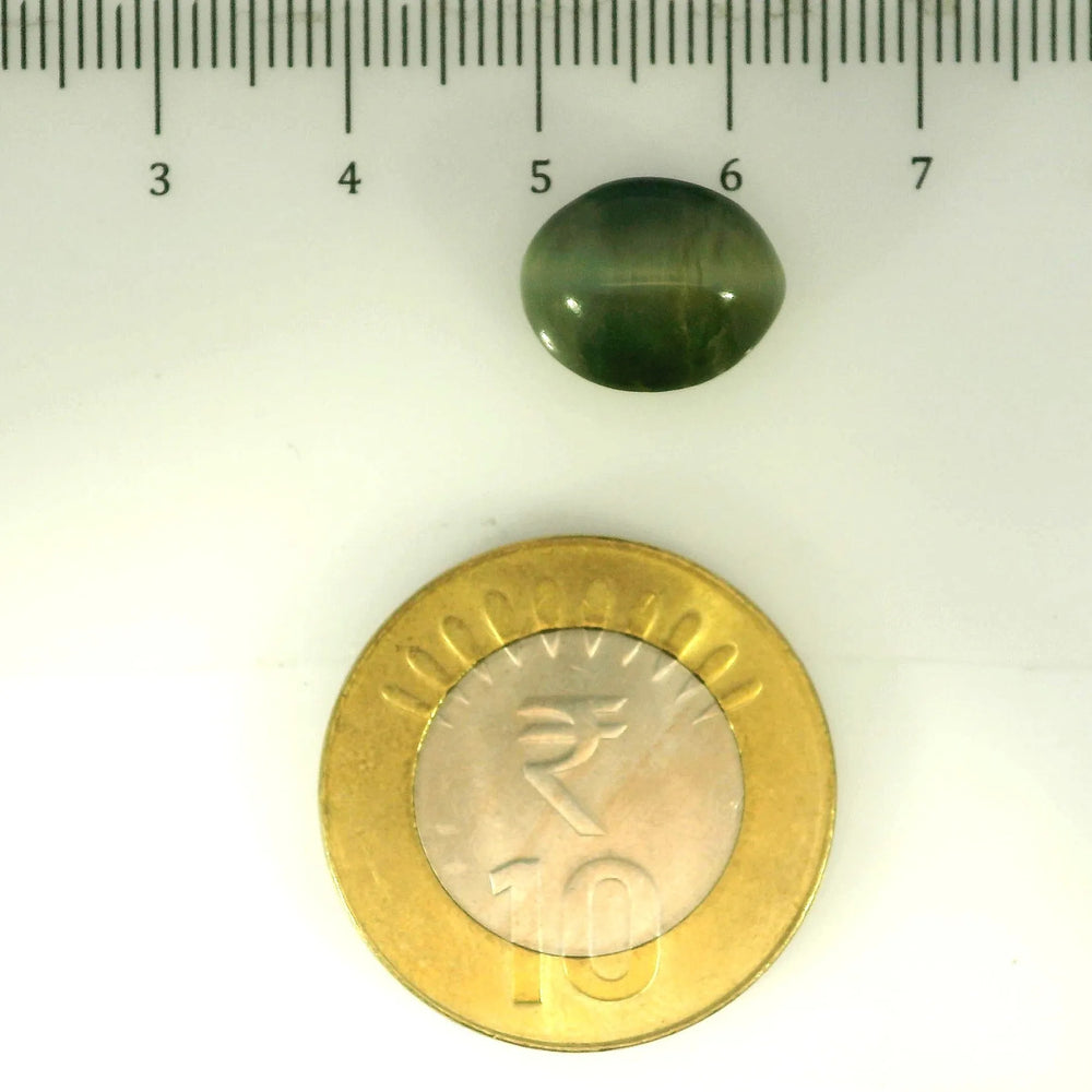 ITLGR_107053_SCALE.webp