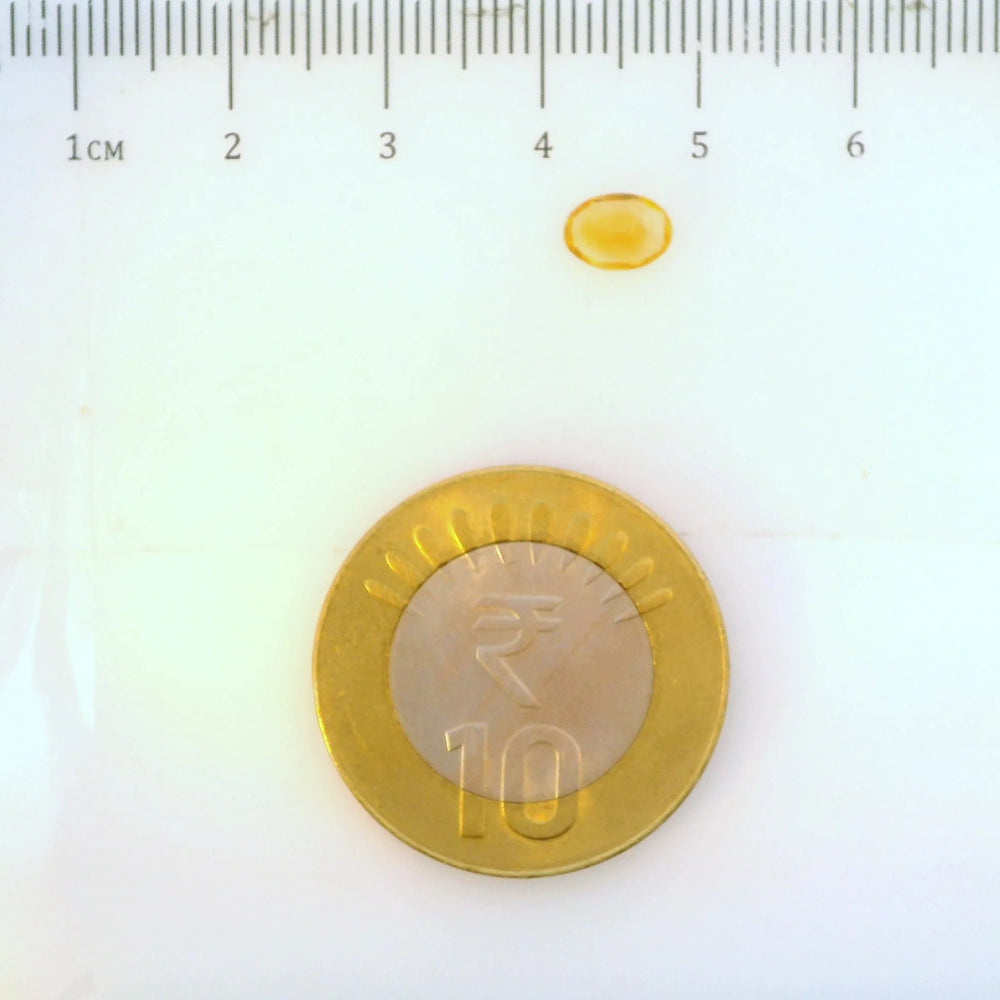 ITLGR_113344_SCALE.webp
