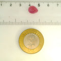 ITLGR_109900_SCALE.webp