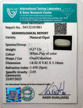 ITLGR_101861_CERTIFICATE.webp