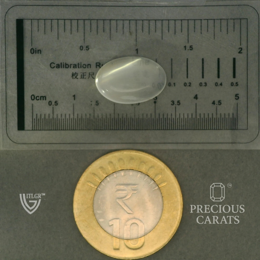 ITLGR_102063_SCALE.webp