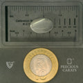ITLGR_102063_SCALE.webp
