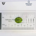 ITLGR_100491_SCALE.webp