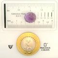 ITLGR_101596_SCALE.webp