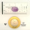 ITLGR_101610_SCALE.webp