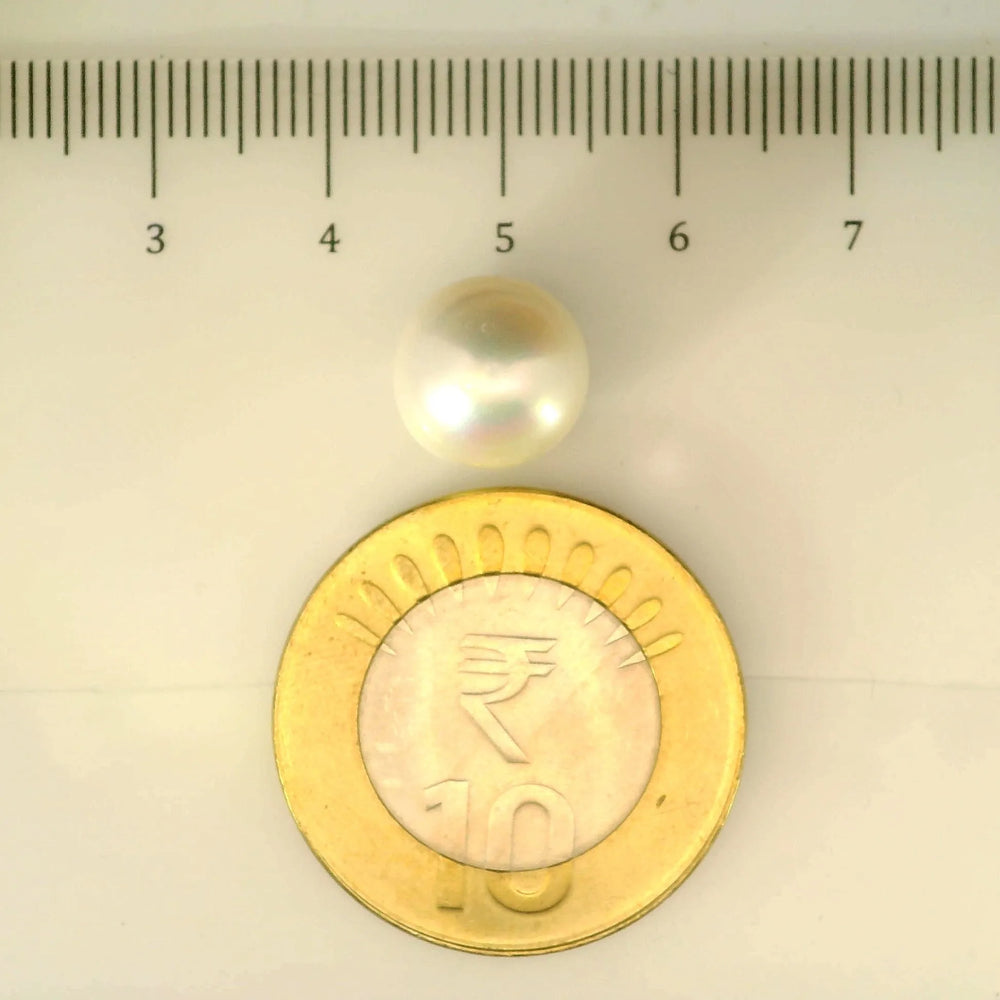 ITLGR_106955_SCALE.webp