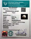 ITLGR_107029_CERTIFICATE.webp
