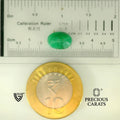 ITLGR_105071_SCALE.webp