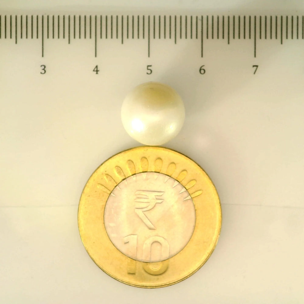 ITLGR_106923_SCALE.webp