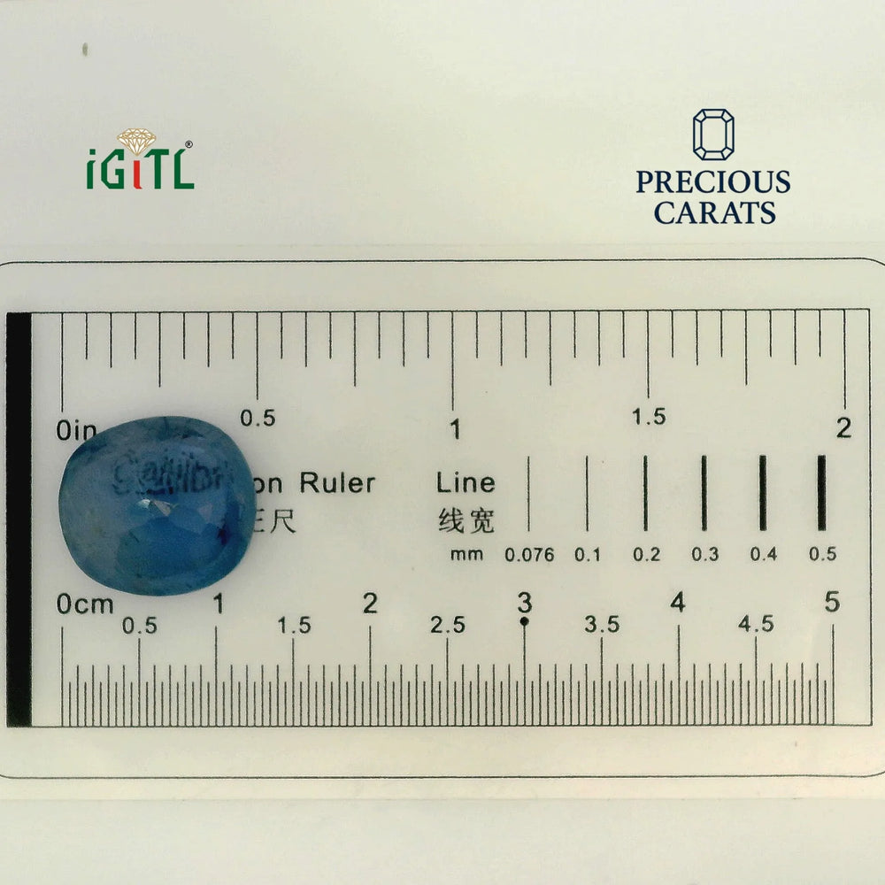IGITL_194717_SCALE.webp