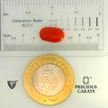 ITLGR_104534_SCALE.webp