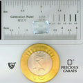 ITLGR_104584_SCALE.webp