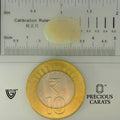 ITLGR_101916_SCALE.webp