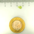 ITLGR_109365_SCALE.webp