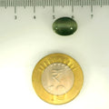 ITLGR_107083_SCALE.webp