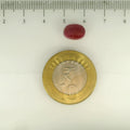 ITLGR_112885_SCALE.webp