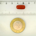 ITLGR_121370_SCALE.webp
