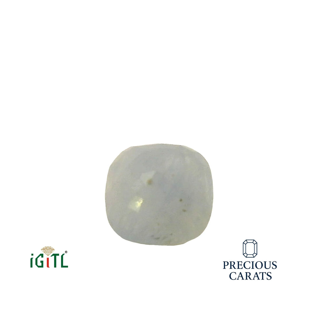 IGITL_194698_BACK.webp