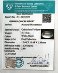 ITLGR_102045_CERTIFICATE.webp