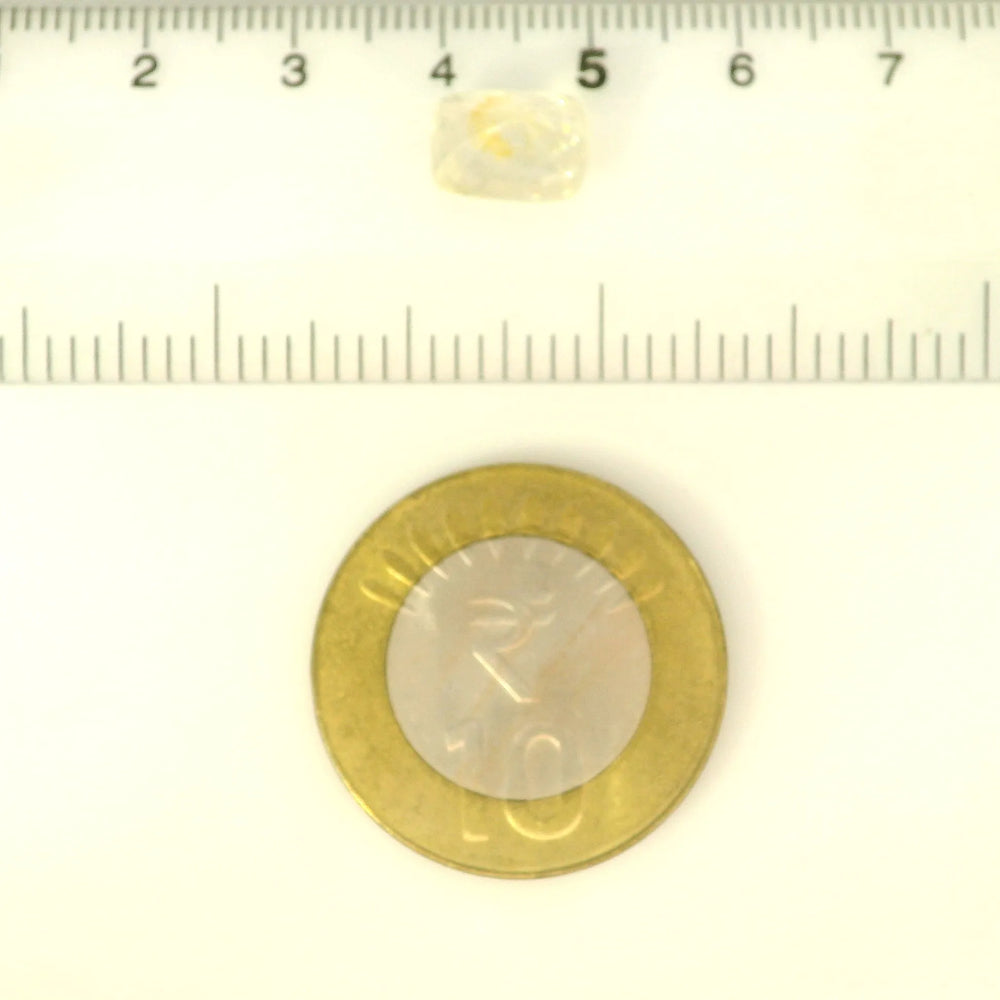 IGITL_211764_SCALE.webp