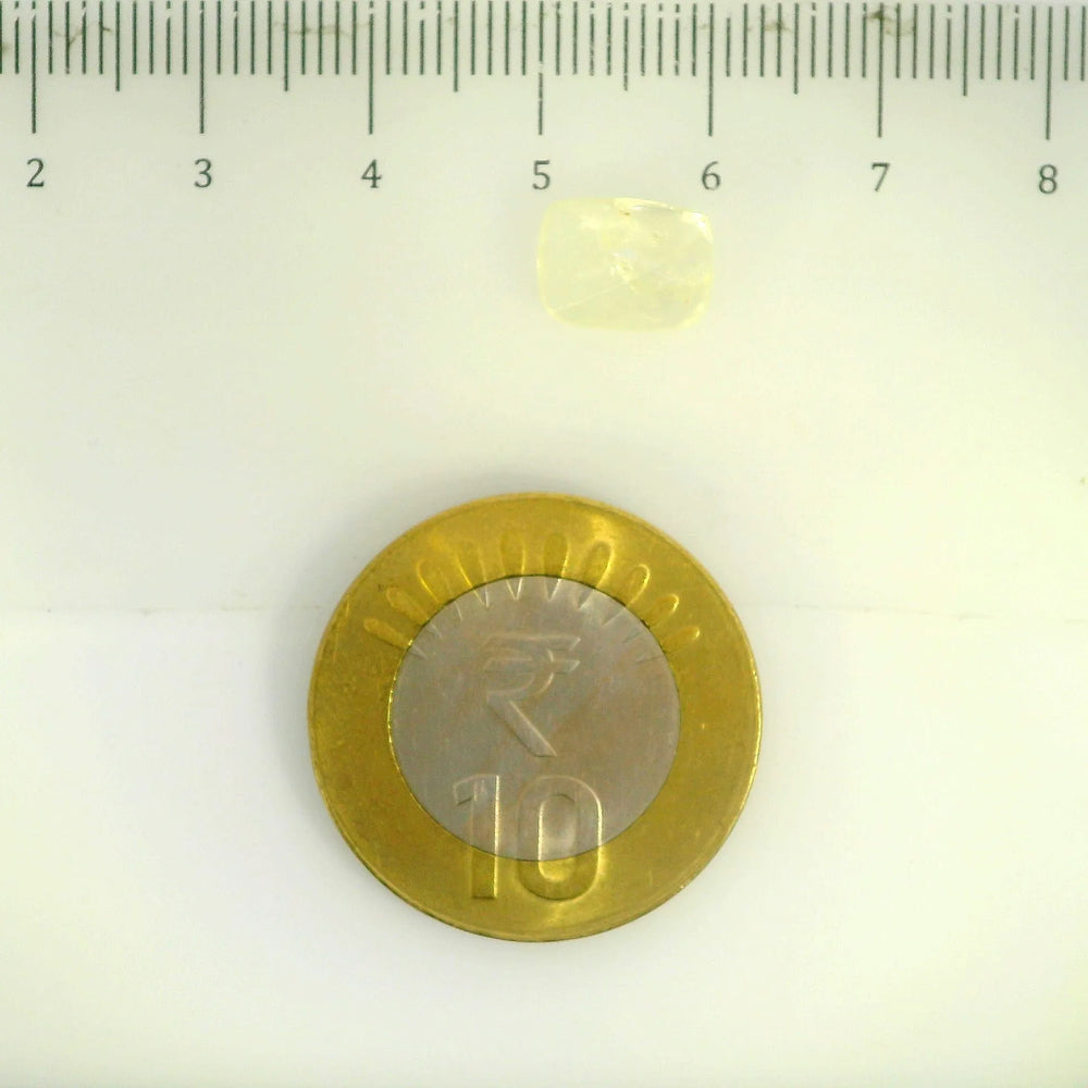 IGITL_200288_SCALE.webp
