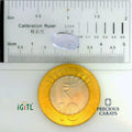 IGITL_197715_SCALE.webp