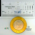 IGITL_197728_SCALE.webp